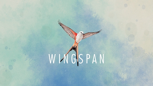 ꡼ No.001Υͥ / ϥSteam 314Ļ򽸤ݸ˭ˤƤάɥWingspan