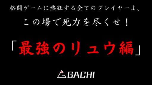 ꡼ No.001Υͥ / ߥ󥰥ץȥסɤ֥ȥ꡼ȥեVפGACHIɤ˥ݥ󥵡