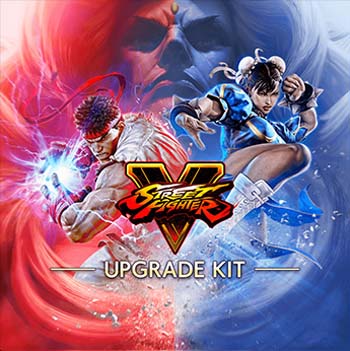 ꡼ No.010Υͥ / ֥VǶCAPCOM CUP IXפͽ롼פ