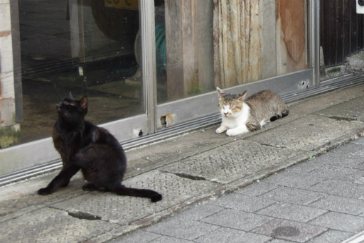 画像ギャラリー No.105のサムネイル画像 / 「ロマンシング佐賀3」現地体験レポート。ついに開幕した佐賀県×サガシリーズのコラボ第3弾は“SaGa愛”に溢れた幸福な空間だった