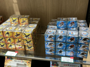 画像ギャラリー No.006のサムネイル画像 / 「甲虫王者ムシキング 20周年記念 POP UP SHOP in OIOI」マルイシティ横浜にて開催。かつて共に闘った甲虫たちと再会しよう!