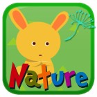 �ѥå�����