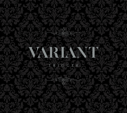 ꡼ No.003Υͥ / ֥ɥå奻֥ס73饪饤饤֤»ܡTRIGGER 2nd Album "VARIANT"ȯ
