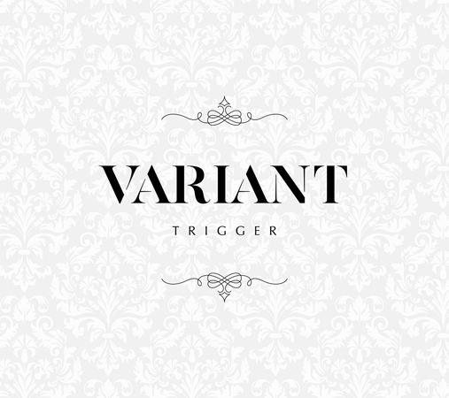 ꡼ No.004Υͥ / ֥ɥå奻֥ס73饪饤饤֤»ܡTRIGGER 2nd Album "VARIANT"ȯ