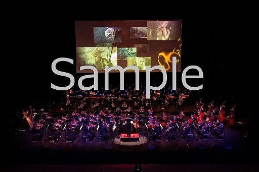 画像ギャラリー No.002のサムネイル画像 / 「NieR」シリーズ10周年記念コンサートのBlu-ray“NieR:Theatrical Orchestra 12020”が本日発売