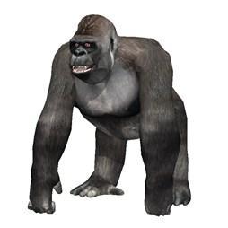 画像ギャラリー No.006のサムネイル画像 / 「StarHorse3」の公式全国大会を実施。「ゴーゴーカレー」とのコラボも明らかに