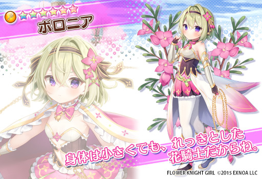 ꡼ No.006Υͥ / FLOWER KNIGHT GIRLס٥ȡƳΤޤˤޤˡɤ򳫺