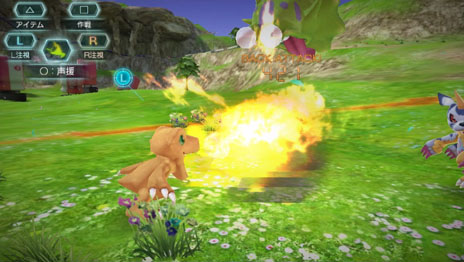 ���������꡼ No.007�Υ���ͥ������ / �֥ǥ������� -next 0rder-�פ��о쥭��饯��������ʥ�ҥޥ�פξ��󤬸���