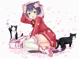 画像ギャラリー No.003のサムネイル画像 / 「モン娘☆は〜れむ」サービス開始1周年の記念キャンペーンを8月25日から開催