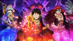 ꡼ No.020Υͥ / ONE PIECE ɥȡס6ǯǰơĺܻؤĶζɤ򳫺