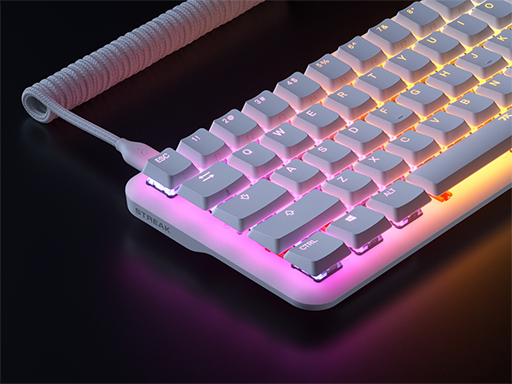 ꡼ No.006Υͥ / Fnatic GearѸ쥭ܡɤإåѥǥ뤬о