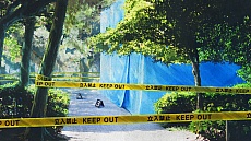 画像ギャラリー No.023のサムネイル画像 / 「真 流行り神2」のゲームシステムや新たなキャラクター情報などが公開。猟奇殺人事件が起こる“半分こ編”のあらすじも