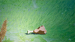 ���������꡼ No.014�Υ���ͥ������ / ��GDC 2017�Ͽ���֥����������פΥ����ȥ����ब�ܻؤ����ȱ��ΤĤ��䤹�������ɤȤ�