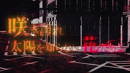 ꡼ No.003Υͥ / ִ߾פΥᥤ󥹥ȡ꡼Υץ˥ư褬