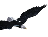 ���������꡼ No.009�Υ���ͥ������ / ��ARCANE-���������󎰡׻�����Ͽ�Կ���3���ͤ����ˡ�����ƥ�ľ��󤬸���