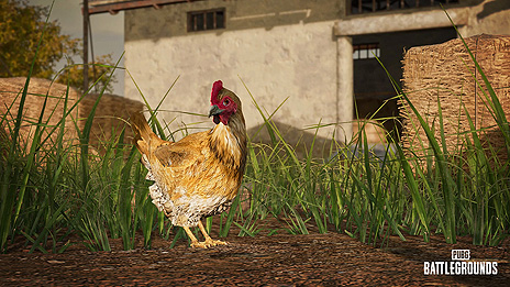 ꡼ No.005Υͥ / PUBG: BATTLEGROUNDSפΥåץǡ14.2»ܡǡDBNO SwimmingɡTaegoޥåפؤΡȷܡɼʤ