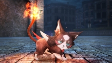 ���������꡼ No.021�Υ���ͥ������ / �֤��Τʤ�����2 ������βֲǡ��׿������о��ʪ�֥����롼���奫�פ������ˡ���͸����롼�����ȤȤ���臘����Ρ���Ĺ���Ǥ�ʲ��ξ����