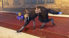 ���������꡼ No.025�Υ���ͥ������ / �֤��Τʤ�����2 ������βֲǡ��׿������о��ʪ�֥����롼���奫�פ������ˡ���͸����롼�����ȤȤ���臘����Ρ���Ĺ���Ǥ�ʲ��ξ����