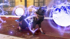 ���������꡼ No.026�Υ���ͥ������ / �֤��Τʤ�����2 ������βֲǡ��׿������о��ʪ�֥����롼���奫�פ������ˡ���͸����롼�����ȤȤ���臘����Ρ���Ĺ���Ǥ�ʲ��ξ����