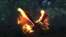 ���������꡼ No.030�Υ���ͥ������ / �֤��Τʤ�����2 ������βֲǡ��׿������о��ʪ�֥����롼���奫�פ������ˡ���͸����롼�����ȤȤ���臘����Ρ���Ĺ���Ǥ�ʲ��ξ����