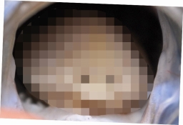 ���������꡼ No.005�Υ���ͥ������ / ��¿�������������������֡ڱ������աۥ����Υ������ ���������������פ��ۿ�����