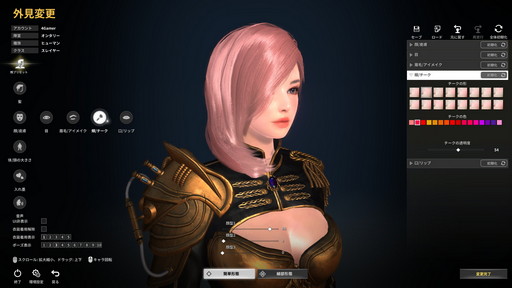 ꡼ No.015Υͥ / MMORPGELYONץץ쥤ݡȡե󥿥SFѤĥΥ󥿡ƥ󥰥ΥեȥץåϤ