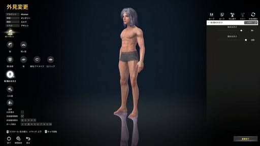 ꡼ No.020Υͥ / MMORPGELYONץץ쥤ݡȡե󥿥SFѤĥΥ󥿡ƥ󥰥ΥեȥץåϤ