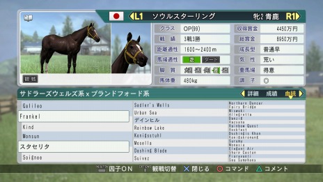 ꡼ No.008Υͥ / Winning Post 8 2017סޥɡ֤ܡʥפǶϤθξ֤û̡ɲöϤξ