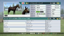 ꡼ No.013Υͥ / Winning Post 8 2017סޥɡ֤ܡʥפǶϤθξ֤û̡ɲöϤξ