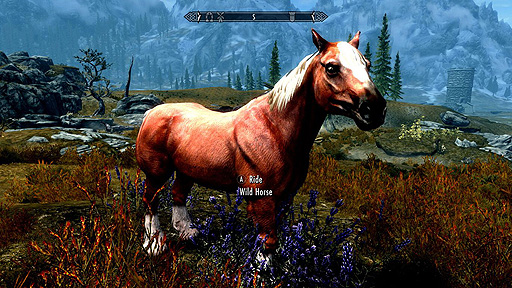 ꡼ No.007Υͥ / SwitchThe Elder Scrolls V: Skyrim Anniversary UpgradeסǡۿϡSkyrimԤȤΥХɥǤ