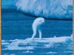 ���ޥۤǿ������Ի������ڤ���롣�֡ڥࡼǧ���Ķ�Ի����⥬�����������ȥߥ��ƥ꡼�η����ǡ����פ��ۿ�����