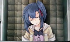 ���������꡼ No.056�Υ���ͥ������ / ���꡼���ǿ����Ķ�ʳ�æ�Х��ȡ��꡼ �ǲ̤ƤΥ������������פ�2��22�����ۿ����ꡣ������ѤǤ���õ�夬�۹���Ϥ�������������Ȥ�