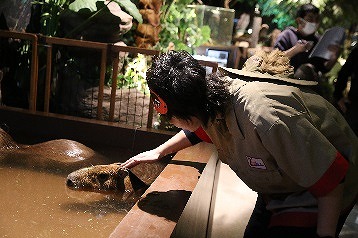 画像ギャラリー No.004のサムネイル画像 / 「アニドルカラーズ」,寺島惇太さんが出演する声優テレビ番組の2期放送が決定