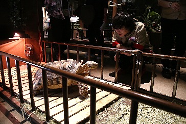 画像ギャラリー No.006のサムネイル画像 / 「アニドルカラーズ」,寺島惇太さんが出演する声優テレビ番組の2期放送が決定