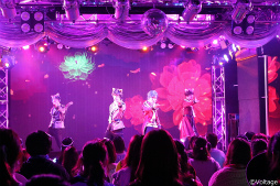 ꡼ No.008Υͥ / 齩ڤˡ˥ɥ륫顼 奢ơClarity Showcase Live Blu-ray Ϫǲͤݡ