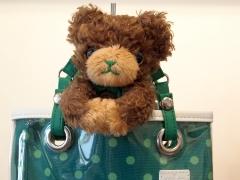 �֤����Ρ��ץ�󥹤��ޤâ��פΥ��󥻥ץȥ���åס�SHINING STORE�פ���ǯ�⥪���ץ󡣿�������ͧã��PRINCE CAT�פ��İ���Ÿ�����줿Ź���̿��ǾҲ�