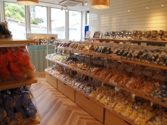 ���������꡼ No.024�Υ���ͥ������ / �֤����Ρ��ץ�󥹤��ޤâ��פΥ��󥻥ץȥ���åס�SHINING STORE�פ�����4�����6��23������缡���š�����Ź����������ݡ���