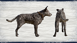 画像ギャラリー No.019のサムネイル画像 / 「ファークライ5」,日本語字幕付きウォークスルートレイラーと,パートナー3キャラのコスプレガイドが公開