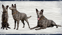 画像ギャラリー No.020のサムネイル画像 / 「ファークライ5」,日本語字幕付きウォークスルートレイラーと,パートナー3キャラのコスプレガイドが公開