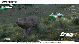 ���������꡼ No.012�Υ���ͥ������ / ���Ƥ�����Υ����ץ���ɥɥ饤�֥�����֥� ���롼2��CBT��ݡ��Ȥ��Ϥ����Ĳ�̵�Ԥ����Ӳ���ڤ������礭�ʥݥƥ󥷥�������