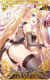 ꡼ No.020Υͥ / FGO ArcadeGW ѡХȥ  2򳫺