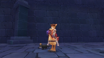 画像ギャラリー No.103のサムネイル画像 / 冒険経験値をごっそり稼ぎたい人は必読! プレイ日記その15:「ラグマス」の秘密の撮影スポット“隠し名所”をコンプリートしよう