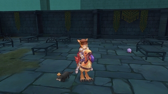 画像ギャラリー No.123のサムネイル画像 / 冒険経験値をごっそり稼ぎたい人は必読! プレイ日記その15:「ラグマス」の秘密の撮影スポット“隠し名所”をコンプリートしよう