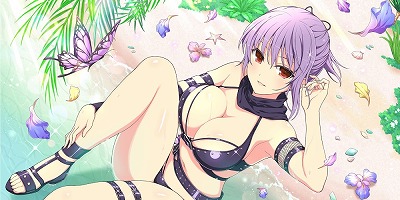 ���������꡼ No.007�Υ���ͥ������ / �֥��Υӥޥ����� ���𥫥���ס���DEAD OR ALIVE 6�ץ���ܤ���������