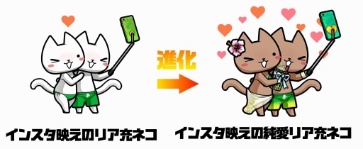 画像ギャラリー No.003のサムネイル画像 / 「ぼくとネコ」で新イベント“インスタ映え”が開催。RTキャンペーンを実施