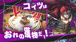 ꡼ No.009Υͥ / ONE PIECE ХƥåסĶ쥸꡼ֵƤ Υ׻