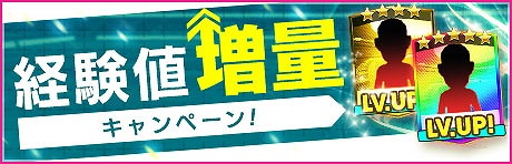 ꡼ No.009Υͥ / ֥ĤRTWס륱ߥ롦륵Х餬о줹DECEMBER PREMIUM SCOUT򳫺
