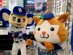 ���������꡼ No.014�Υ���ͥ������ / �����꡼���ϵ�͡��ѡ��꡼���ϥ��եȥХ󥯤���̥������ȡ��ѥ�ץ���e���ݡ��ĥ꡼����eBASEBALL �ץ��꡼����2019�������󤬳���