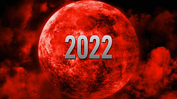 ꡼ No.010Υͥ / ֥٥ͥå3פȯ2022ǯ⡣ä뿷ʤɤǧǤǿȥ쥤顼