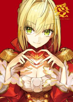 ꡼ No.003Υͥ / Ÿ֥륳Ÿ Fate  Fate/EXTRA ART WORKS721鳫šåμճ